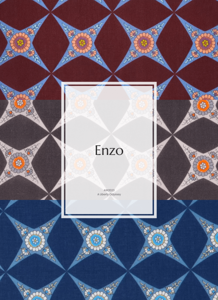 Enzo - AW23_ A Liberty Odyssey